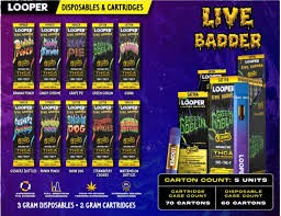 Looper THC-JD Product Price In Pakistan